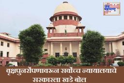 वृक्षपुनर्रोपण ही ‘बनावट प्रक्रिया’; ‘जीएमएलआर’सह मेट्रो प्रकल्पांच्या वृक्षतोड परवानग्या रद्द करण्याचा सर्वोच्च न्यायालयाचा राज्य सरकारला इशारा!
