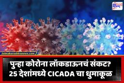 Covid CICADA Variant : पुन्हा लॉकडाऊनचं संकट? कोव्हिडच्या CICADA व्हॅरिएंटचा अमेरिकेत धुमाकूळ; भारतात नेमकी काय परिस्थिती?