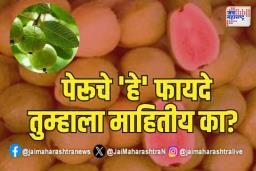 पेरूचे ‘हे’ फायदे तुम्हाला माहितीय का?