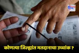 Maharashtra Local Body Election Update: नगरपरिषदा व नगरपंचायतींसाठी मतदार प्रक्रिया पूर्ण; पहा मतदानाची आकडेवारी