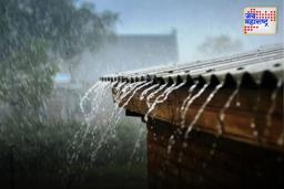 Rain Update: राज्यात पावसाची दमदार एंन्ट्री, कोणत्या जिल्ह्यात पाऊस…