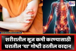 Anti Inflammatory Foods: औषधं कशाला? किचनमधील ‘या’ नैसर्गिक गोष्टींनी शरीरातील सूज करा छुमंतर; मिळतात आश्चर्यकारक फायदे