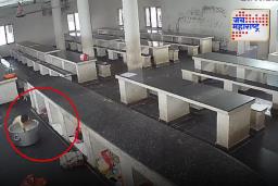 Andhra Pradesh Tragedy: 17 महिन्याची चिमुकली पडली गरम दुधाच्या भांड्यात आणि…; ऐकून तुमच्याही अंगावर येईल काटा