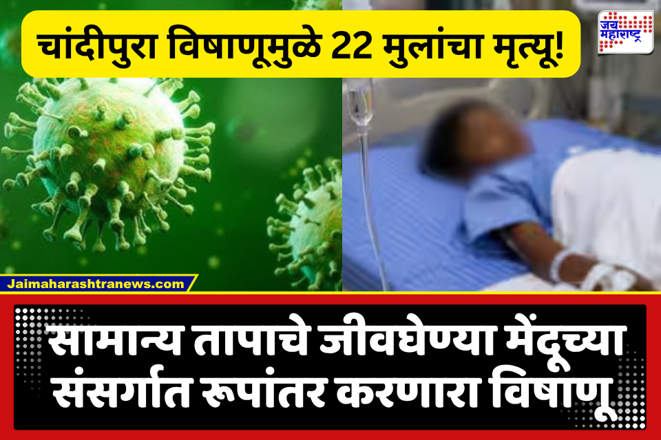 Chandipura Virus : भयंकर विषाणूचा शिरकाव! आतापर्यंत 22 मुलांनी गमावला जीव; इतका प्रभावी चांदीपुरा व्हायरल आहे तरी काय?