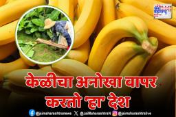 ‘हा’ देश केळीपासून बनवतो कपडे; जाणून घ्या…