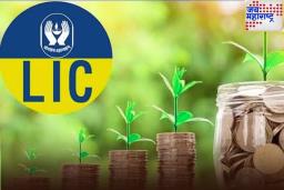 LIC Saving Plans: एलआयसीच्या ‘या’ 4 योजनांमध्ये गुंतवा पैसे, आयुष्यभर राहणार नाही पैशांची चिंता