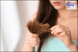 Hair Tips In Marathi : आता दुतोंडी केसांपासून मिळवा मुक्ती; हे सोपे घरगुती उपाय करतील चमत्कार