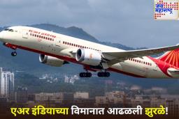 उड्डाणादरम्यान एअर इंडियाच्या विमानात आढळली झुरळे; प्रवाशांमध्ये उडाला गोंधळ