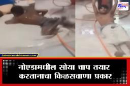 Soya chaap Making Video Viral : तुमच्या आवडीचा सोया चाप असा तयार होतो! व्हायरल व्हिडिओ पाहून अंगावर काटा येईल