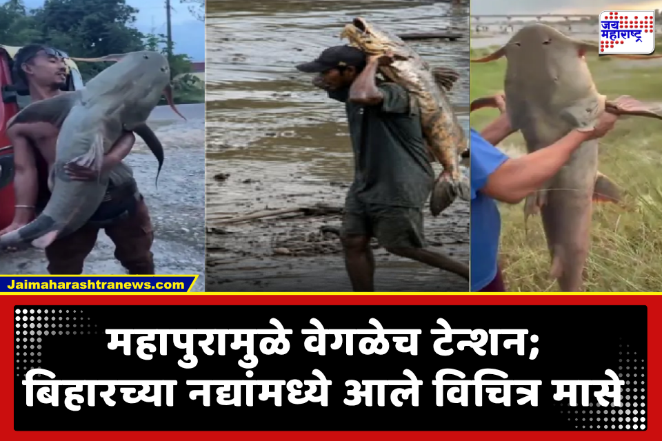Nepal Flood Fish Warning: बिहारमध्ये मासे खाल्ल्याने अनेक नागरिक आजारी, प्रशासनाकडून हाय अलर्ट