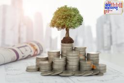 Mutual Fund SIP : एसआयपी किती प्रकारची असते? म्युच्युअल फंडमध्ये गुंतवणूक करण्यापूर्वी ‘हे’ नक्की वाचा