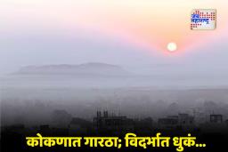 Maharashtra Weather Alert: राज्यात गारठ्याची चाहूल; नागपूरसह अनेक शहरांत तापमानात मोठी घट