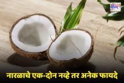 Summer Health Tips : उन्हाळ्यात नारळाचे सहा मोठे फायदे