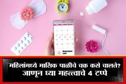 Stages of Menstrual Cycle :  मासिक पाळीदरम्याने चार टप्पे असतात महत्त्वाचे, शरीरात होतात मोठे बदल, जाणून घ्या सविस्तरपणे
