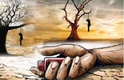 नोव्हेंबरमध्ये शेतकऱ्यांच्या आत्महत्येत 61 टक्क्यांनी वाढ