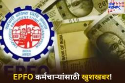 EPFO कर्मचाऱ्यांसाठी खुशखबर! 33.56 कोटी खात्यात जमा करण्यात आले 8.25 टक्के व्याज