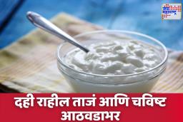 Yogurt Storage Tips: दही आंबट होणार नाही! वापरा ‘या’ 5 जबरदस्त स्टोरेज ट्रिक्स
