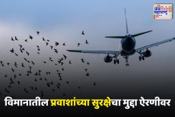 Air India lane : पक्षाची विमानाच्या इंजिनला धडक; 140 प्रवाशांनी भरलेल्या विमानाचं उड्डाण रद्द, पायलटनं घेतला हा निर्णय आणि…