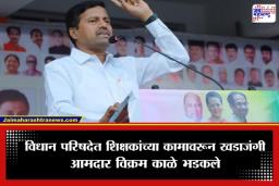 Vikram Kale: ‘शिक्षकांना कुत्रे मोजायची कामं लावता…’; विधान परिषदेत आमदार विक्रम काळे यांचा संताप