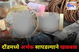 दौंड शहरात आढळली दहा ते अकरा अर्भक