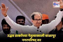 Balapur Nagarparishad Result : अकोल्यातील बाळापूर येथे Uddhav Thackeray गटाचे बलबीर सिंग करण सिंग कोरिया विजयी