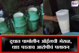 Jalgaon Fake Milk Racket: दूध की पामोलीन ऑईल? नागरिकांच्या आरोग्याशी खेळ; एफडीएची धाड, आरोपीचा अधिकाऱ्यांना चकवा