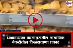 Badlapur Bakery : केक खाण्यापूर्वी हा व्हिडिओ नक्की पाहा! खारीत उंदराचा वावर, केकमध्ये विष्ठा…; बदलापुरातील नामांकित बेकरीतून किळसवाणा प्रकार