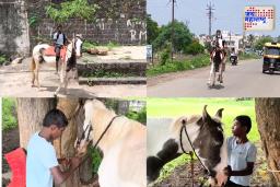 घोड्यावरून शाळेत जाणारा अवलिया, वैराग गावातील ‘आदर्श साळुंखे’