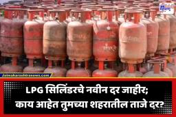 LPG Gas Cylinder Price: हॉटेलमधील जेवण महागणार? व्यावसायिक सिलिंडरच्या किमतीत मोठी वाढ; तर घरगुती LPG च्या किमतीत…