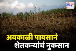 अवकाळी पावसाने बळीराजाला पुन्हा रडवलं; नाशिक, धुळ्यासह संभाजीनगरमध्ये पावसाची हजेरी