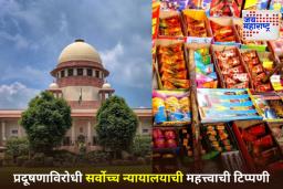 SC On Firecracker Ban: फक्त दिल्लीतचं नव्हे तर संपूर्ण भारतात फटाक्यांवर बंदी घालावी; सर्वोच्च न्यायालयाचे आवाहन