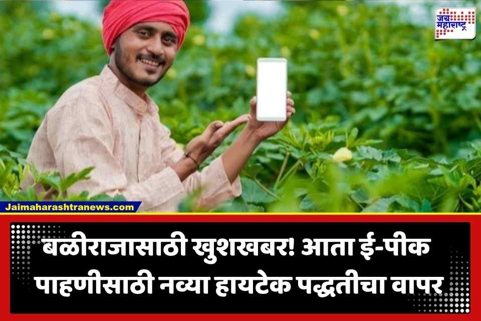 E Pik Pahani Update: सर्व्हर डाऊन अन् नेटवर्कच्या अडचणींवर अखेर तोडगा; ई-पीक पाहणीबाबत सरकारने केला ‘हा’ मोठा बदल