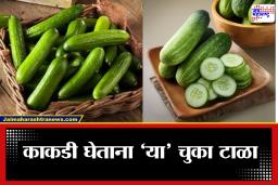 How To Choose Cucumber: उन्हाळ्यात काकडी घेताना चूक करू नका! ‘या’ महत्त्वाच्या टिप्स लक्षात ठेवा