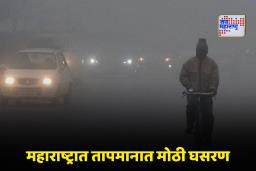 Maharashtra Weather: दितवाह वादळामुळे हवामानात उलथापालथ! महाराष्ट्रात पुन्हा कडाक्याच्या थंडीचे आगमन