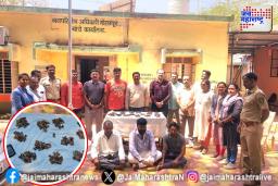 सोलापुरात घोरपडीच्या गुप्तांग तस्करीचा पर्दाफाश – वन विभागाची मोठी कारवाई