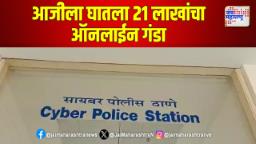 आजीला घातला 21 लाखांचा ऑनलाईन गंडा