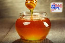 How to Identify Pure Honey: मध खरा आहे की बनावट?, जाणून घ्या शुद्धता कशी ओळखायची?