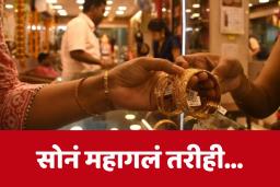 Dhanteras 2025 : धनत्रयोदशीच्या दिवशी सोन्याची छप्परफाड विक्री, चांदीचाही विक्रम, मात्र भांड्यांचा आकडा ऐकून व्हाल थक्क