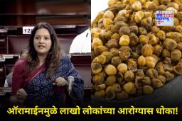 Auramine: ऑरामाईनचा वापर थांबवा…! प्रियंका चतुर्वेदी यांची सरकारला तातडीने कारवाई करण्याची मागणी
