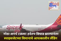 Technical Glitch On SpiceJet Flight: स्पाइसजेटच्या दिल्ली-पटना विमानात तांत्रिक बिघाड; उड्डाणानंतर काही वेळातच विमान परतलं
