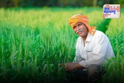 PM Kisan Yojana: छत्रपती संभाजीनगरमधील आठ हजार शेतकरी पंतप्रधान किसान सन्मान निधीपासून वंचित; नेमकं कारण काय?