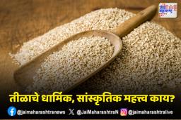 तीळाचे धार्मिक, सांस्कृतिक आरोग्यासाठीचे महत्त्व जाणून घ्या.