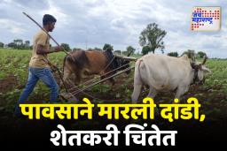 मराठवाड्यात 90 टक्के पेरणी पूर्ण; शेतकरी मोठ्या पावसाच्या प्रतीक्षेत