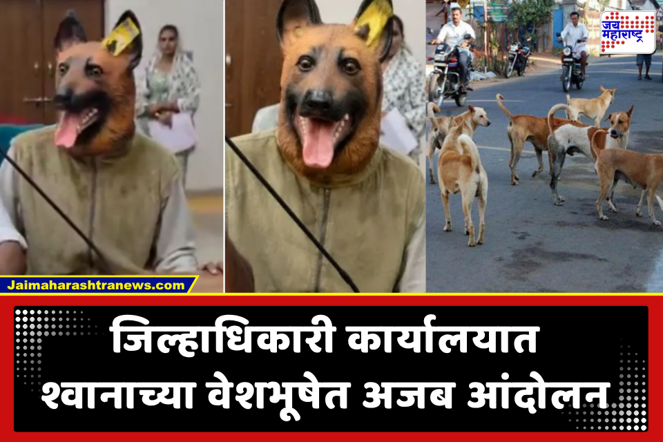 Protest in Collectorate: चक्क श्वानाच्या वेशभूषेत आंदोलन! भटक्या कुत्र्यांच्या नसबंदीत 40 लाखांच्या घोटाळ्याचा आरोप, Video Viral