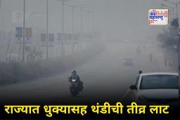 Maharashtra Weather : राज्यात धुक्याची चादर! IMD चा मोठा इशारा; पुढील 48 तास…