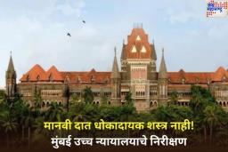 मानवी दात धोकादायक शस्त्र नाही! मुंबई उच्च न्यायालयाने रद्द केला महिलेविरुद्धचा FIR