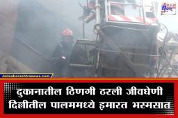 Delhi Palam Fire: दिल्लीतील पालममध्ये इमारतीला भीषण आग; आगीत होरपळून 6 जणांचा मृत्यू , तर….