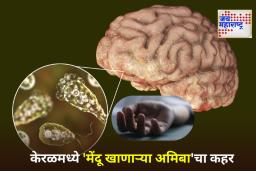 Brain Eating Amoeba: केरळमध्ये ‘ब्रेन-ईटिंग अमीबा’चा उद्रेक! संसर्गाने आणखी एका व्यक्तीचा बळी