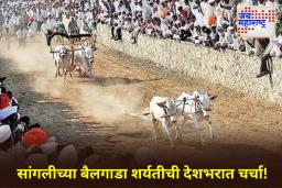 अबब! 2 महिंद्रा थार, 2 फॉर्च्युनर, 7 ट्रॅक्टर, 150 बाईक्स; बैलगाडा शर्यत जिंकणाऱ्यांना मिळणार इतकी बक्षीसं, पण कुठे?…