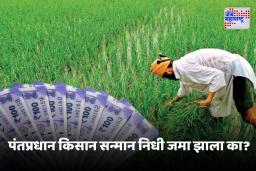 PM Kisan Yojana : तुमचे पीएम किसान पैसे तुमच्या खात्यात आले नाहीत का? हे कारण असू शकते